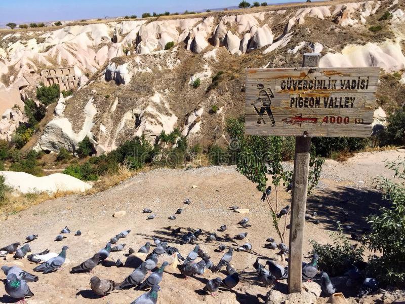 Pigeon Valley Stone House Üçhisar Esterno foto